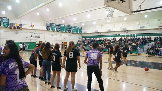 BOB�������޹�˾��(�й�)