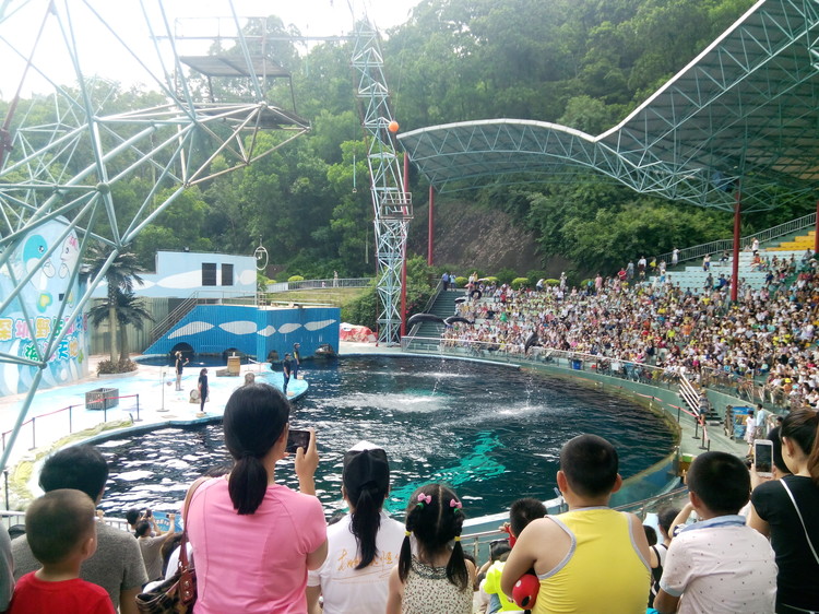 BOB�������޹�˾��(�й�)