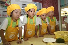 ������BOB���Ź��ʽ���������DIY֮��