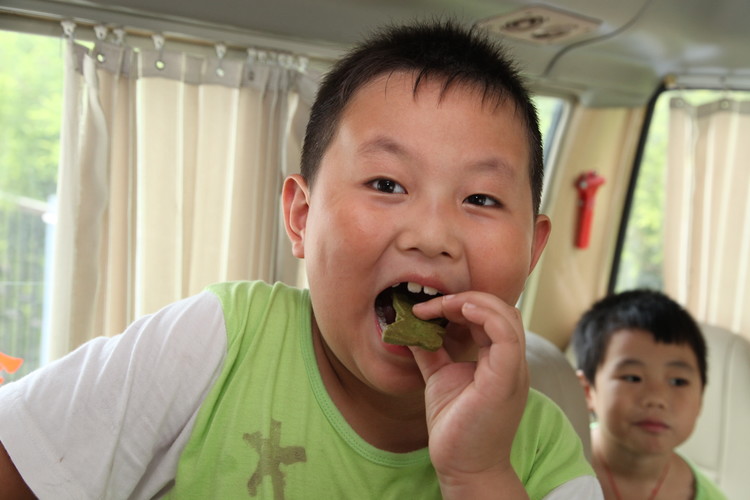 BOB�������޹�˾��(�й�)