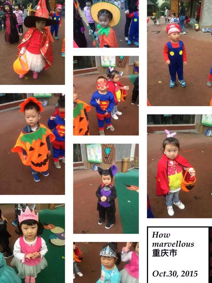 BOB�������޹�˾��(�й�)