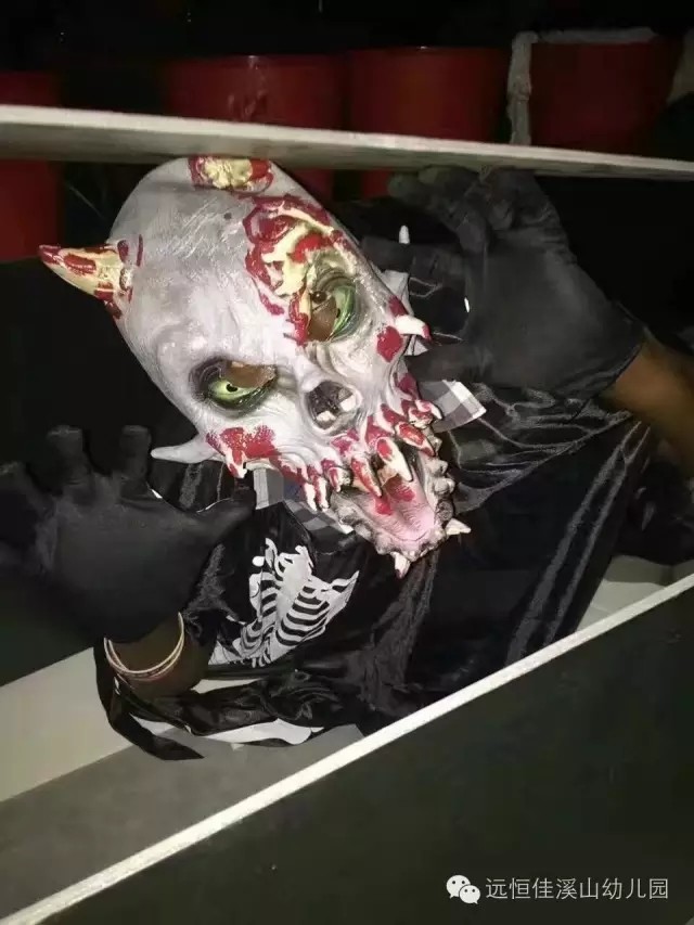 BOB�������޹�˾��(�й�)