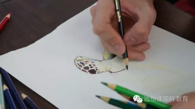 BOB�������޹�˾��(�й�)