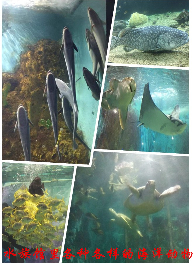 BOB�������޹�˾��(�й�)