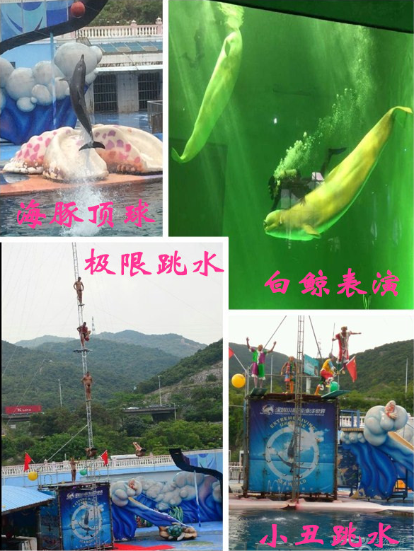 BOB�������޹�˾��(�й�)