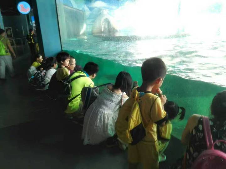 BOB�������޹�˾��(�й�)