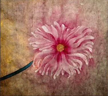 BOB�������޹�˾��(�й�)