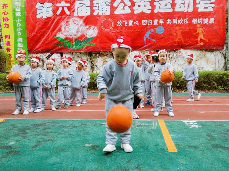 BOB�������޹�˾��(�й�)