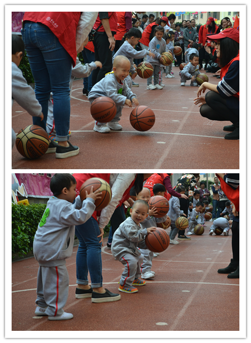 BOB�������޹�˾��(�й�)