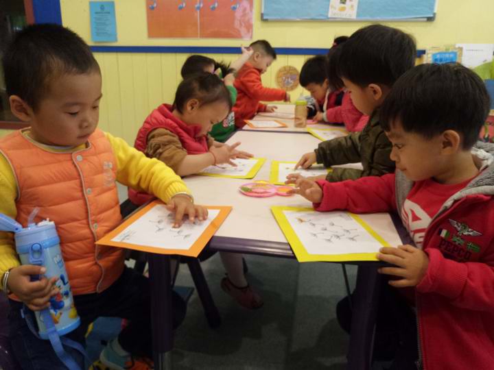 BOB�������޹�˾��(�й�)