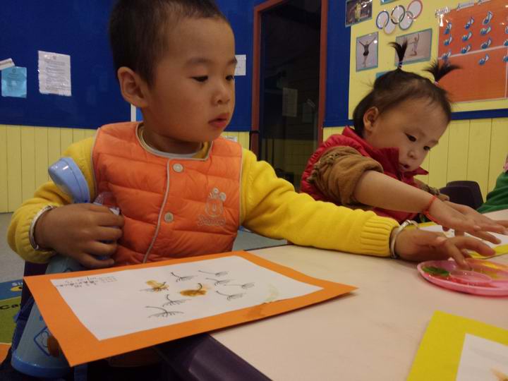 BOB�������޹�˾��(�й�)