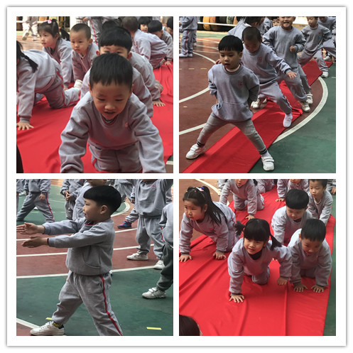 BOB�������޹�˾��(�й�)