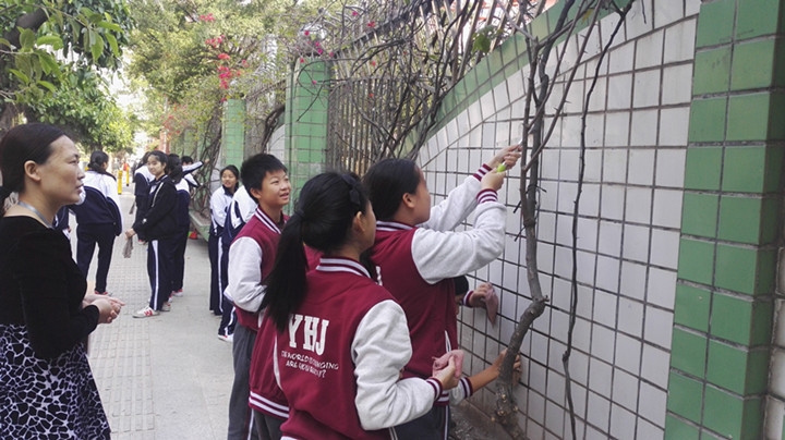 BOB�������޹�˾��(�й�)