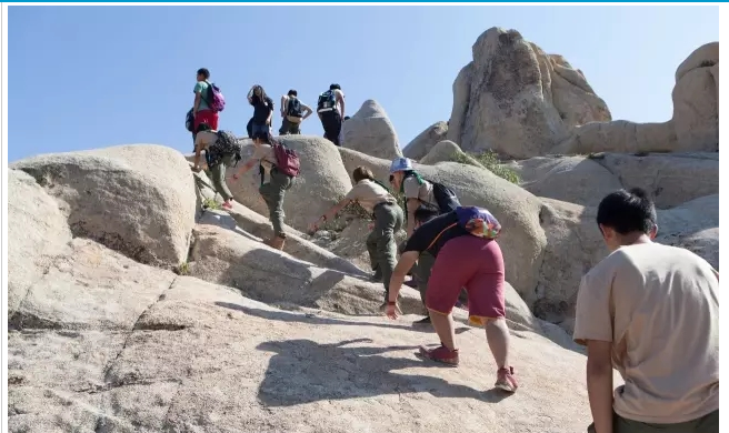 BOB�������޹�˾��(�й�)