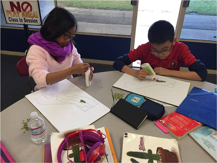 BOB�������޹�˾��(�й�)