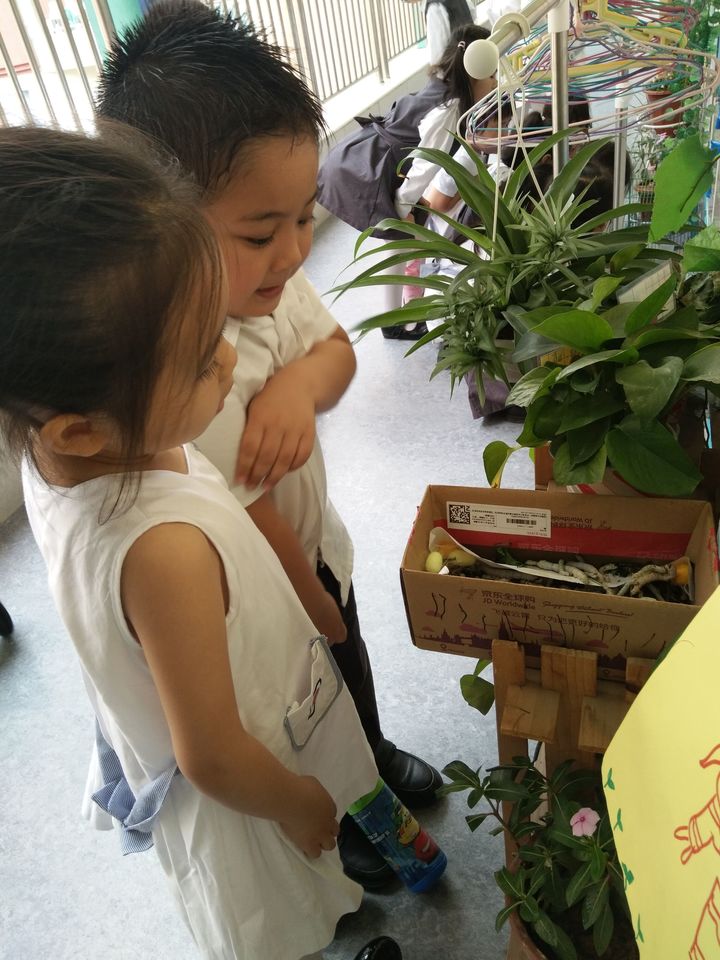 BOB�������޹�˾��(�й�)