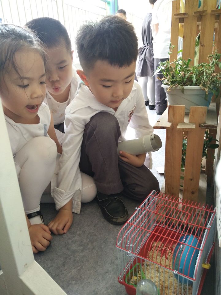 BOB�������޹�˾��(�й�)