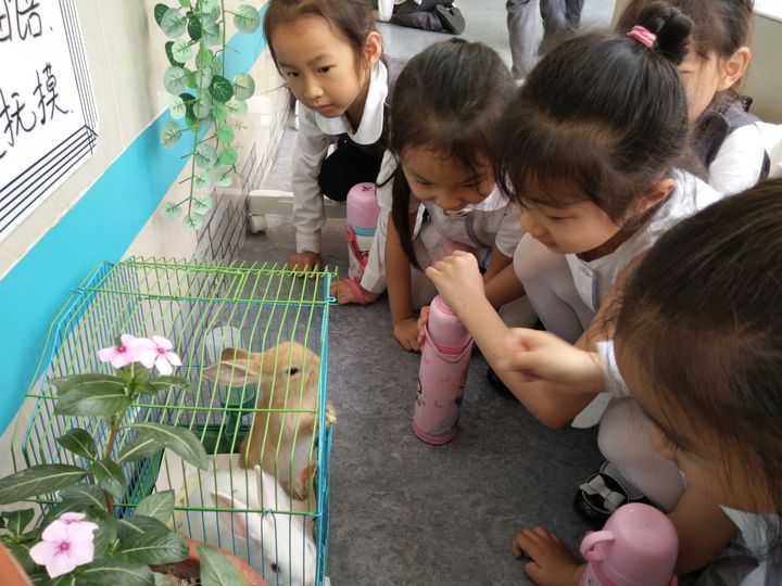 BOB�������޹�˾��(�й�)