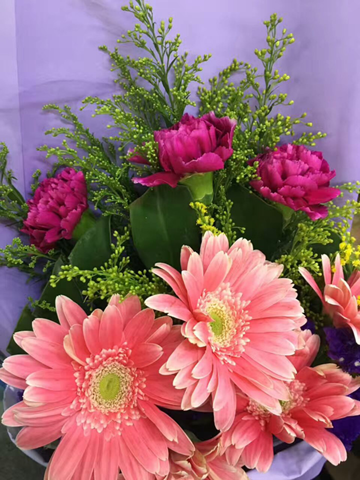 BOB�������޹�˾��(�й�)