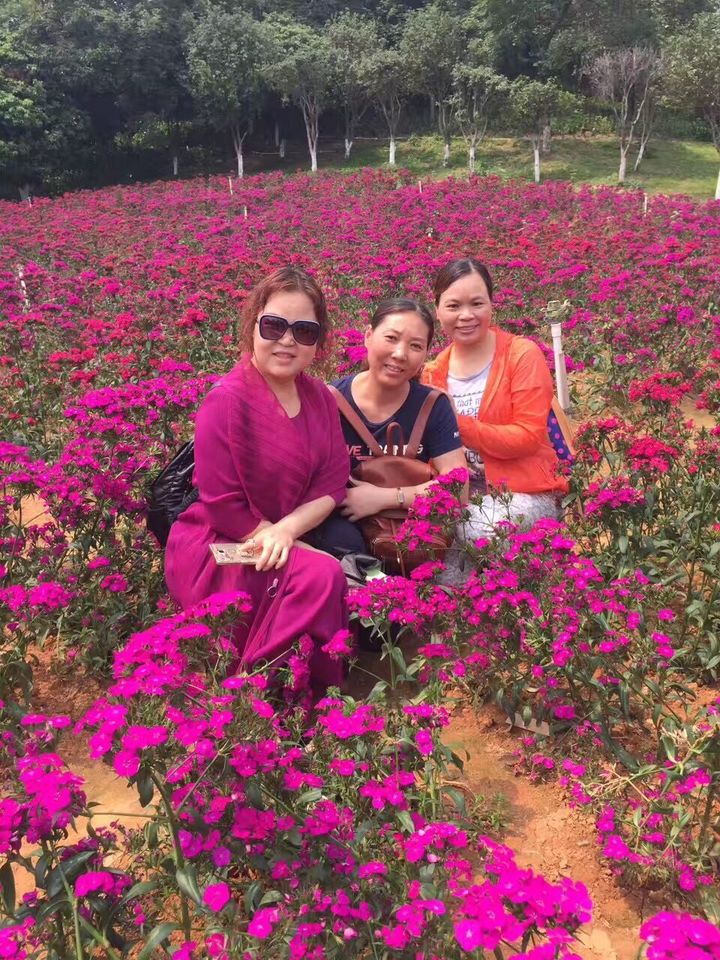 BOB�������޹�˾��(�й�)