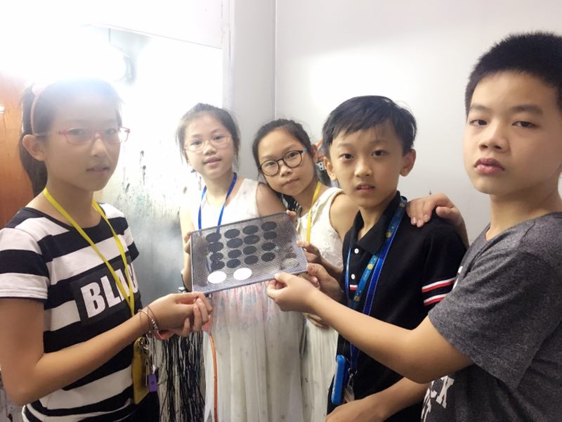 ѧϰ������������������֮�� ������A�ڶ�С��ְҵ����С��