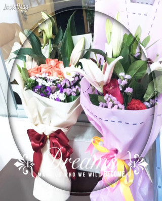 BOB�������޹�˾��(�й�)