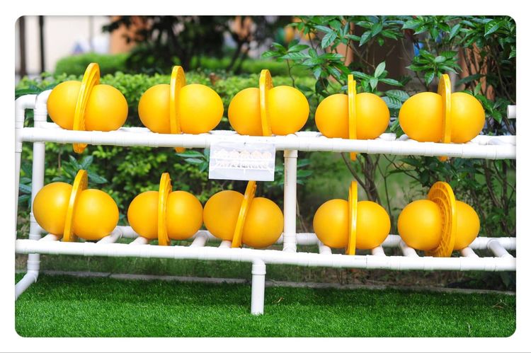 BOB�������޹�˾��(�й�)