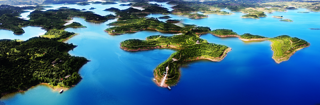 BOB�������޹�˾��(�й�)