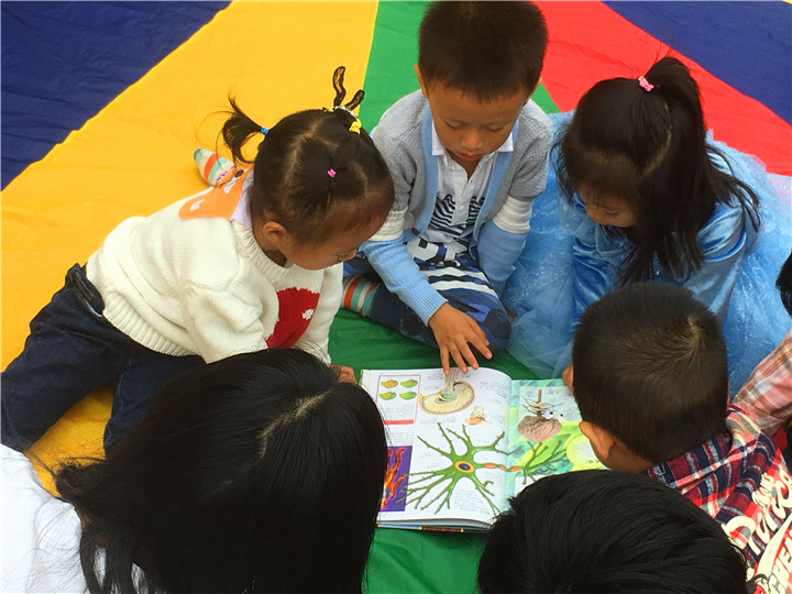 BOB�������޹�˾��(�й�)