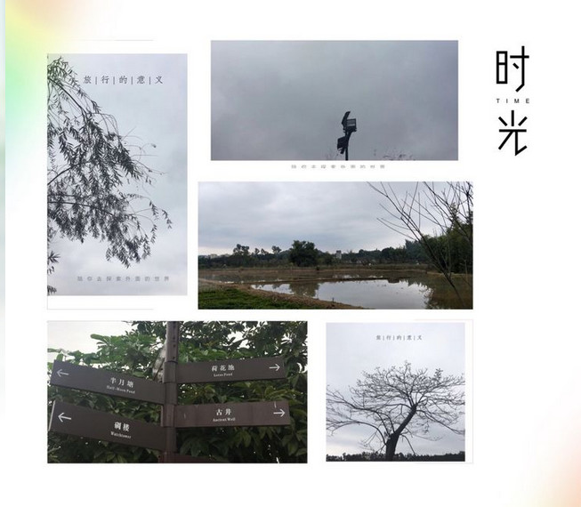 BOB�������޹�˾��(�й�)