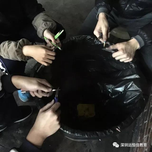 BOB�������޹�˾��(�й�)