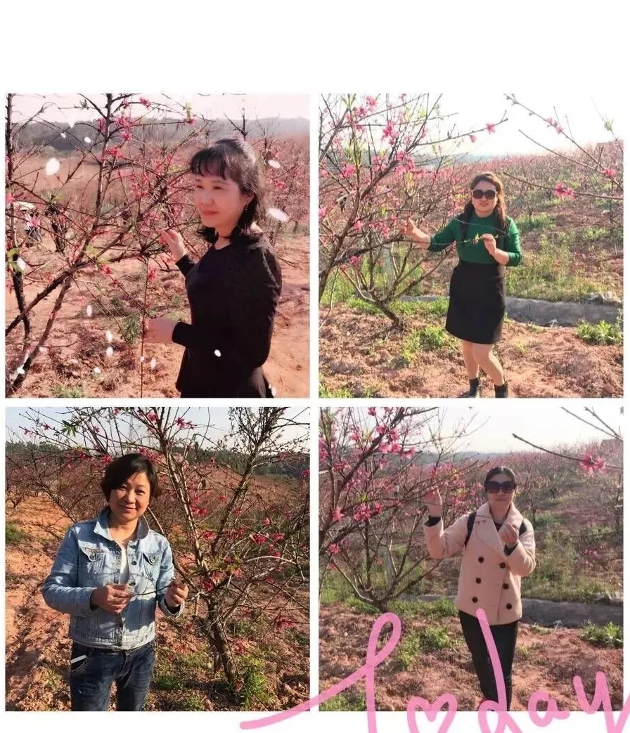 BOB�������޹�˾��(�й�)