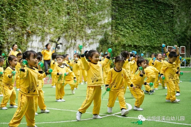 BOB�������޹�˾��(�й�)