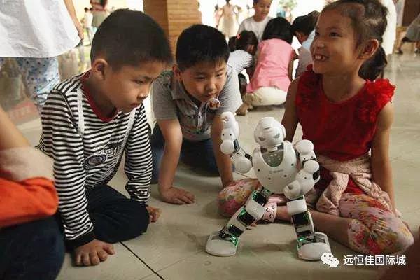 BOB�������޹�˾��(�й�)