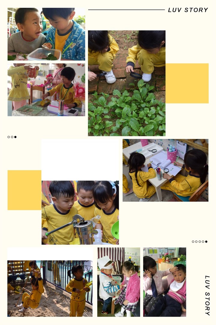 BOB�������޹�˾��(�й�)