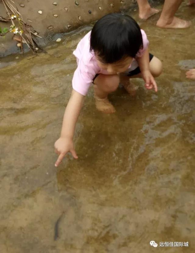 BOB�������޹�˾��(�й�)