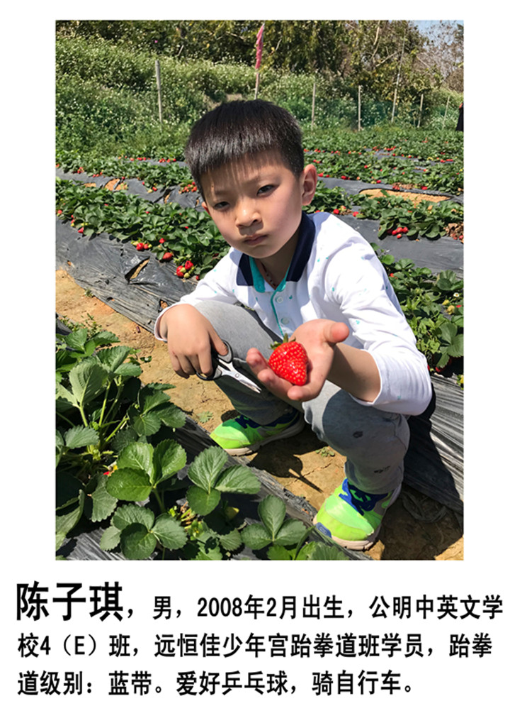 BOB�������޹�˾��(�й�)