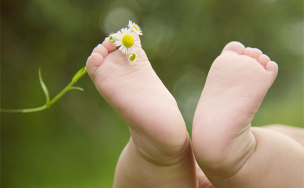 ���ļ���͵Ϯ�������翴��Ԥ��