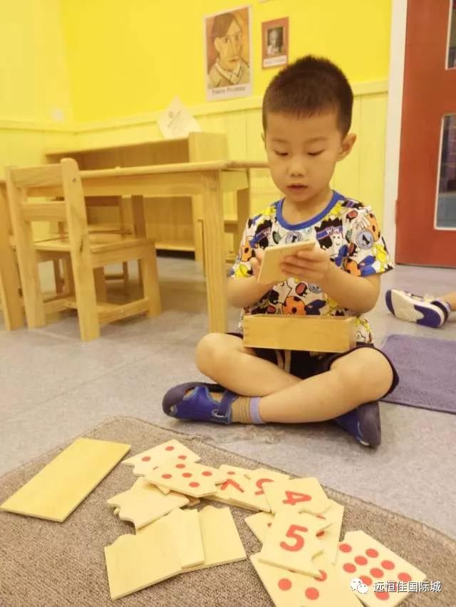 BOB�������޹�˾��(�й�)