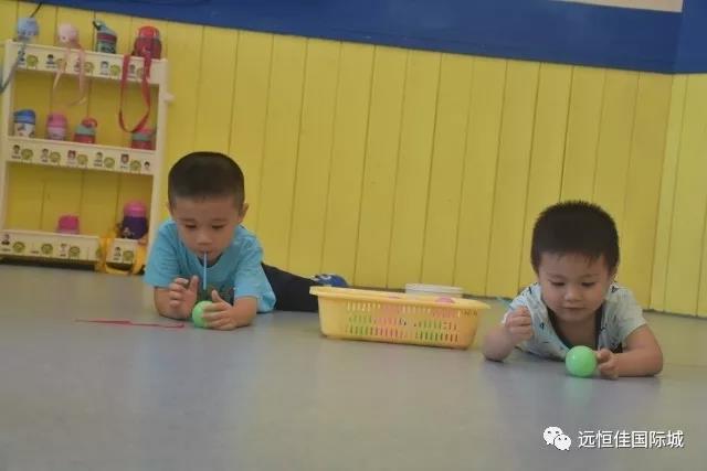 BOB�������޹�˾��(�й�)