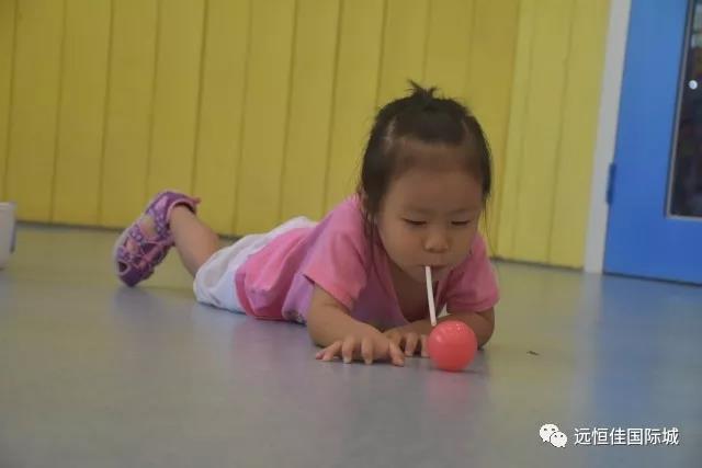 BOB�������޹�˾��(�й�)