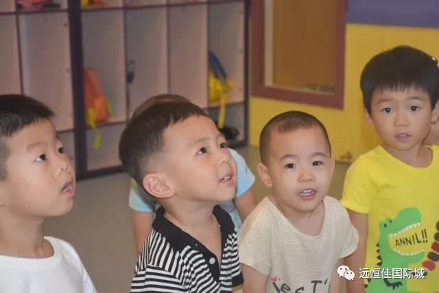 BOB�������޹�˾��(�й�)