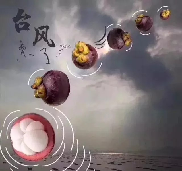 ̨��������������Ӧ��̨�硰ɽ���������Ž�һ����