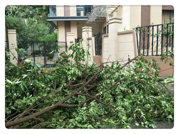 BOB�������޹�˾��(�й�)