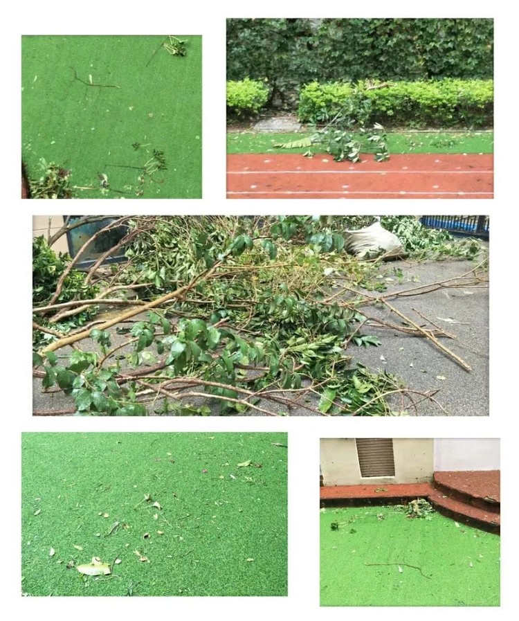 BOB�������޹�˾��(�й�)