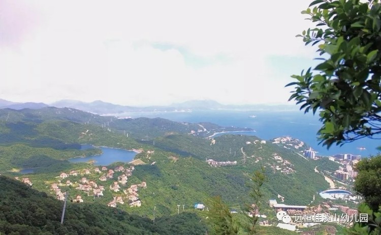 BOB�������޹�˾��(�й�)