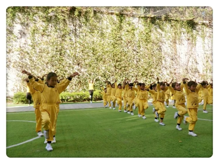 BOB�������޹�˾��(�й�)