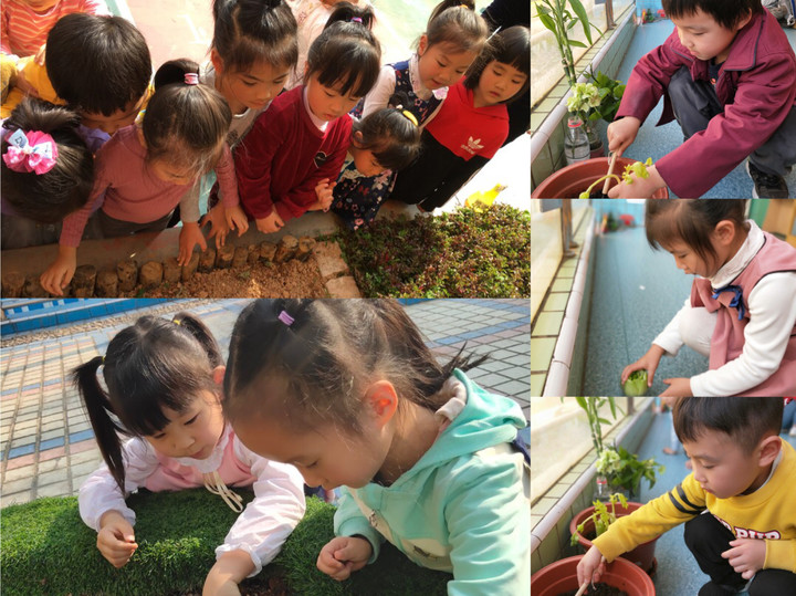 ӵ������ �ǻ���ɫ