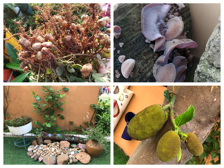 BOB�������޹�˾��(�й�)