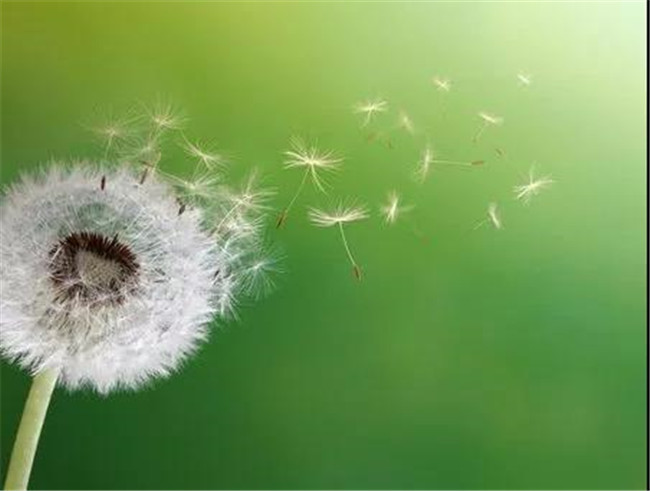 BOB�������޹�˾��(�й�)